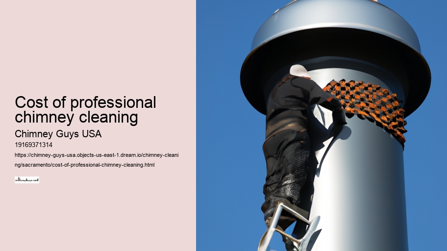Cost of professional chimney cleaning