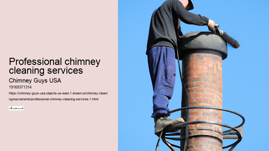 Professional chimney cleaning services