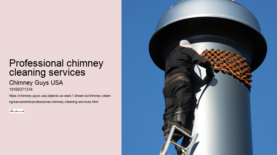 Professional chimney cleaning services